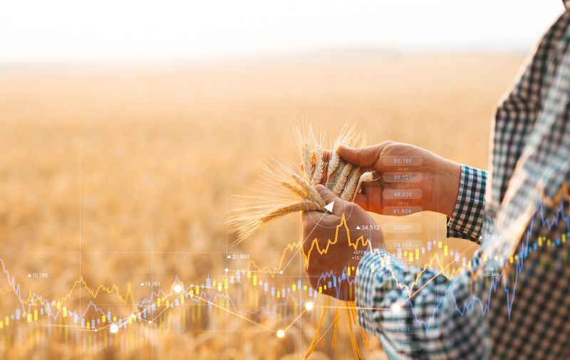 Growing global food crisis