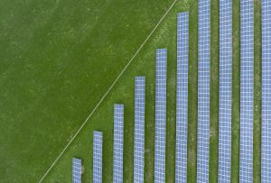 Tougher environmental policies can create economic winners