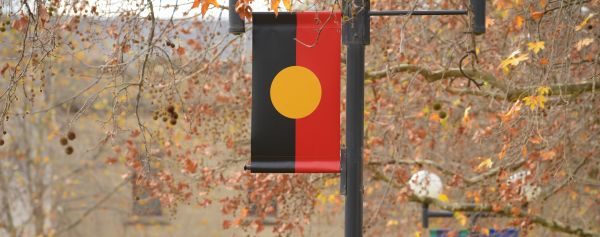 Australian Aboriginal flag