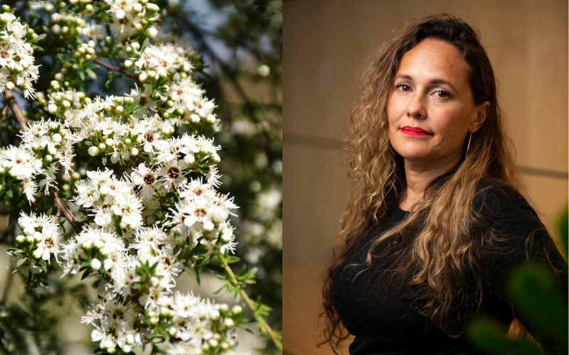 How Māori communities are harnessing their ancient knowledge systems and entrepreneurial spirit to create the next biomedical revolution