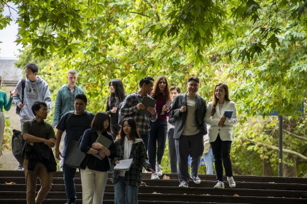 Group of students walking down the stairs from grass quad