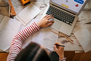 Partnership renewed between FBE and insendi, boosting digital learning and international shared study options
