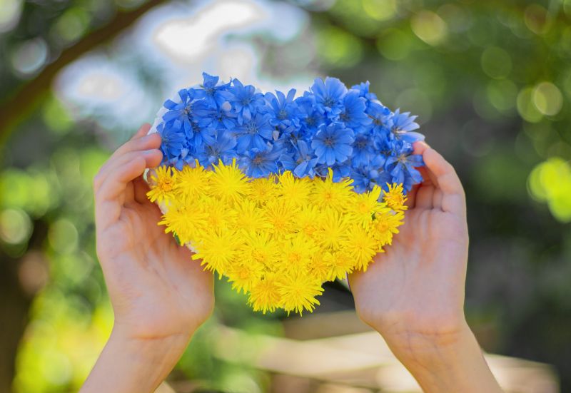 Economists supporting Ukraine