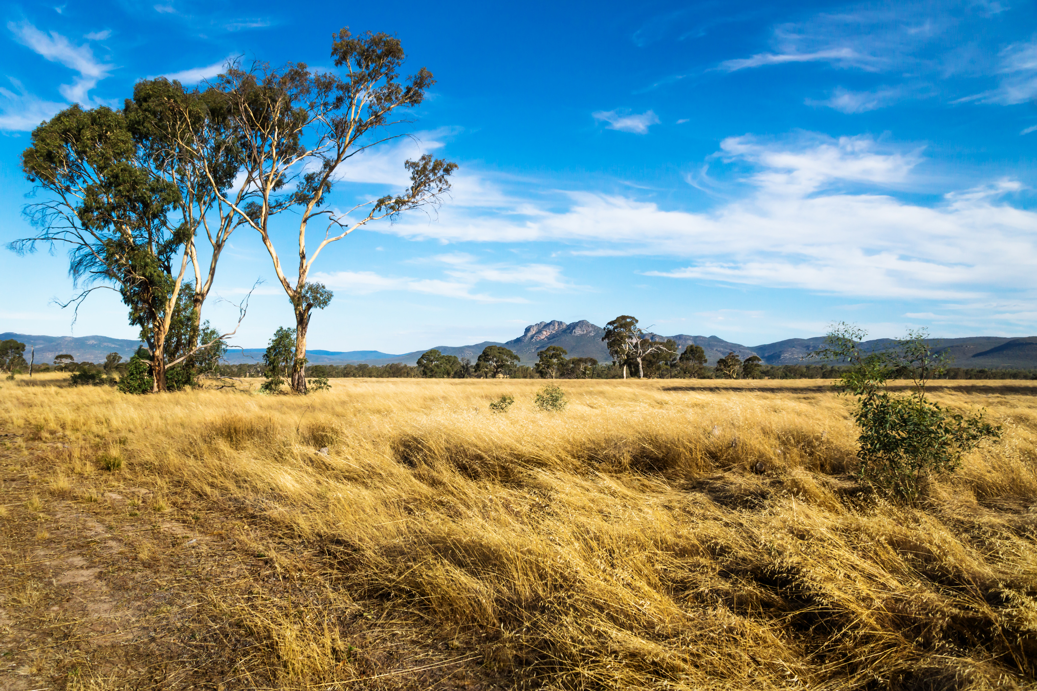 First cohort of scholarship winners delighted to help further regional and rural economics research