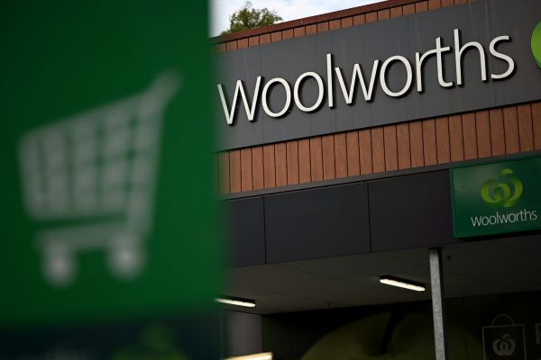 Woolworths chief Brad Banducci couldn’t give senators his company’s ‘return on equity’. What exactly is this figure, and what can it tell us about a company’s profit?