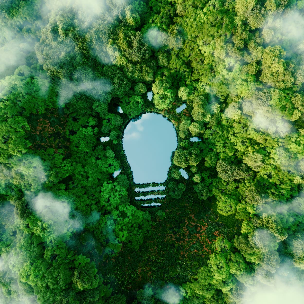 aerial view of green forest treetops with a lake in the shape of a light bulb