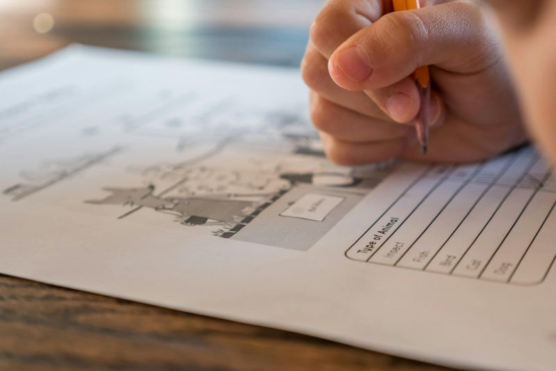 More students withdrawn from NAPLAN exams after introduction of My School