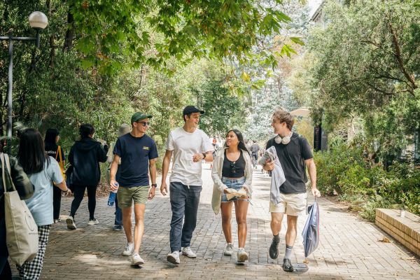 A group of students strolling and chatting on campus walkway