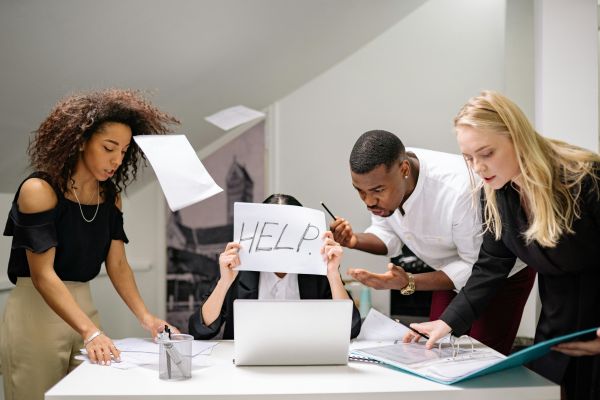 Group of women and man in the office